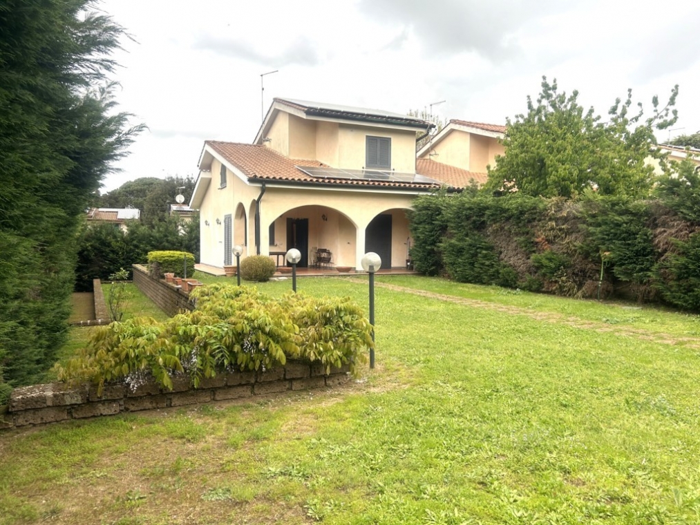 IMG_0916 (FILEminimizer).jpg